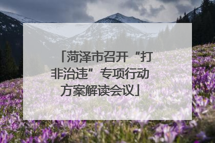 菏泽市召开“打非治违”专项行动方案解读会议