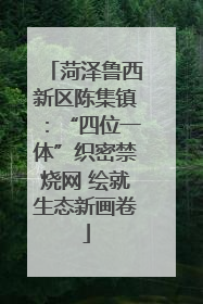 菏泽鲁西新区陈集镇：“四位一体”织密禁烧网 绘就生态新画卷