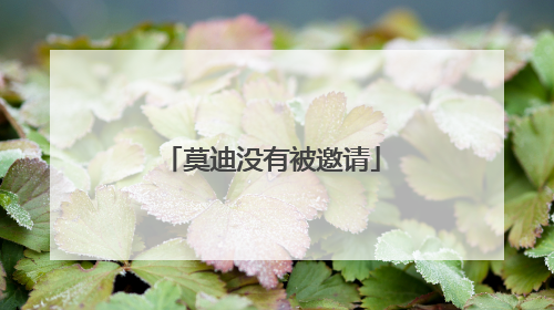 莫迪没有被邀请