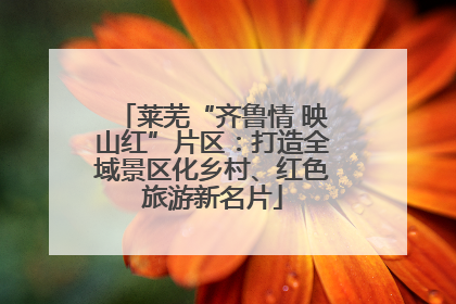 莱芜“齐鲁情 映山红”片区：打造全域景区化乡村、红色旅游新名片