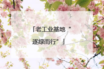 老工业基地“逐绿而行”