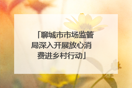 聊城市市场监管局深入开展放心消费进乡村行动