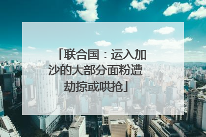 联合国：运入加沙的大部分面粉遭劫掠或哄抢