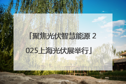 聚焦光伏智慧能源 2025上海光伏展举行