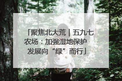 聚焦北大荒｜五九七农场：加强湿地保护 发展向“绿”而行
