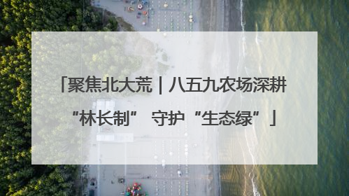 聚焦北大荒｜八五九农场深耕“林长制” 守护“生态绿”