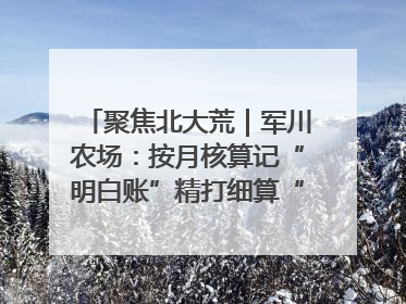 聚焦北大荒｜军川农场：按月核算记“明白账”精打细算“过紧日子”