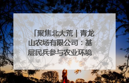 聚焦北大荒｜青龙山农场有限公司：基层民兵参与农业环境综合治理显效