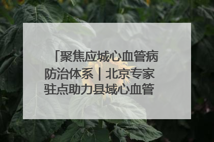 聚焦应城心血管病防治体系｜北京专家驻点助力县域心血管诊疗技术突破