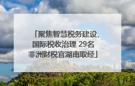 聚焦智慧税务建设、国际税收治理 29名非洲财税官湖南取经