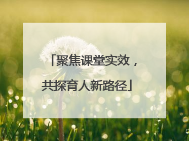 聚焦课堂实效，共探育人新路径