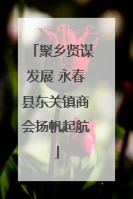 聚乡贤谋发展 永春县东关镇商会扬帆起航