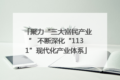 聚力“三大富民产业” 不断深化“1131”现代化产业体系