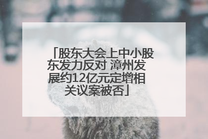 股东大会上中小股东发力反对 漳州发展约12亿元定增相关议案被否