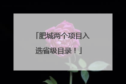 肥城两个项目入选省级目录！