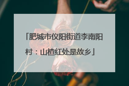 肥城市仪阳街道李南阳村：山楂红处是故乡