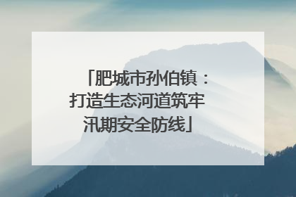 肥城市孙伯镇：打造生态河道筑牢汛期安全防线