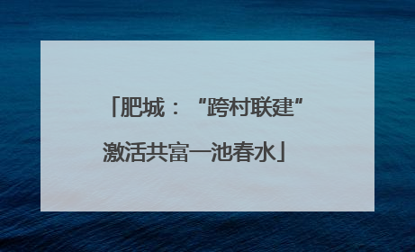 肥城：“跨村联建”激活共富一池春水