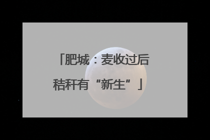 肥城：麦收过后秸秆有“新生”