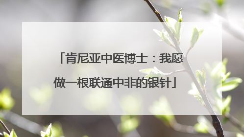 肯尼亚中医博士：我愿做一根联通中非的银针