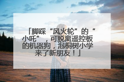 脚踩“风火轮”的“小吒”，可脱离遥控板的机器狗，泡桐树小学来了新朋友！
