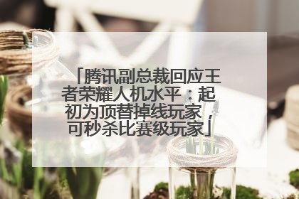 腾讯副总裁回应王者荣耀人机水平：起初为顶替掉线玩家，可秒杀比赛级玩家