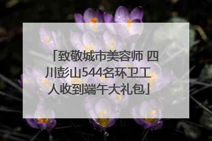 致敬城市美容师 四川彭山544名环卫工人收到端午大礼包