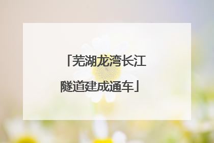 芜湖龙湾长江隧道建成通车