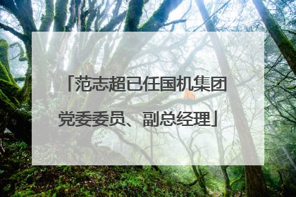 范志超已任国机集团党委委员、副总经理