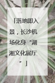落地即入景，长沙机场化身“湖湘文化展厅”