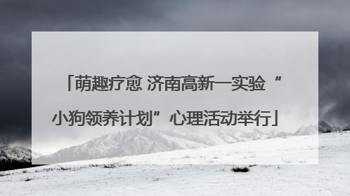 萌趣疗愈 济南高新一实验“小狗领养计划”心理活动举行