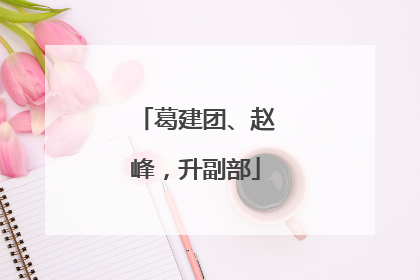 葛建团、赵峰，升副部