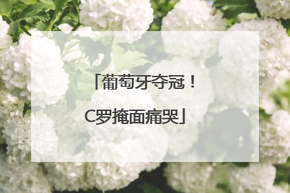 葡萄牙夺冠！C罗掩面痛哭