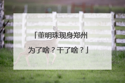 董明珠现身郑州 为了啥？干了啥？