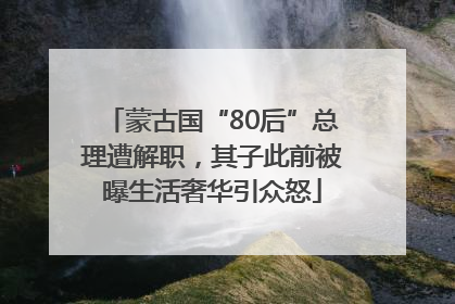 蒙古国“80后”总理遭解职，其子此前被曝生活奢华引众怒