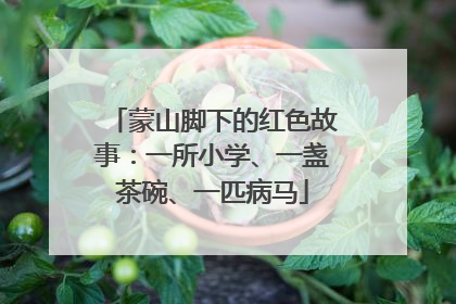 蒙山脚下的红色故事：一所小学、一盏茶碗、一匹病马