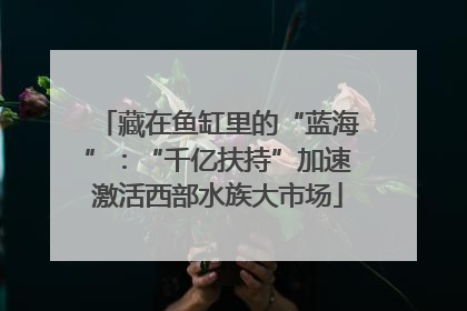 藏在鱼缸里的“蓝海”：“千亿扶持”加速激活西部水族大市场