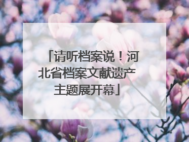 请听档案说！河北省档案文献遗产主题展开幕