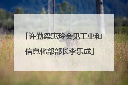 许勤梁惠玲会见工业和信息化部部长李乐成