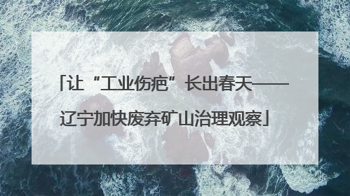 让“工业伤疤”长出春天——辽宁加快废弃矿山治理观察