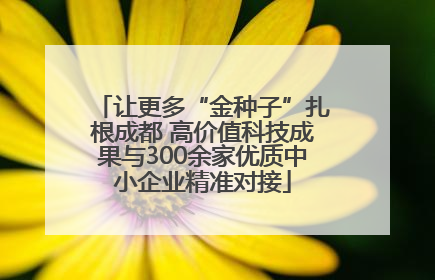 让更多“金种子”扎根成都 高价值科技成果与300余家优质中小企业精准对接