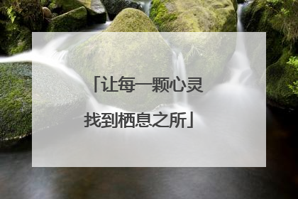 让每一颗心灵找到栖息之所