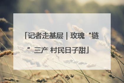 记者走基层｜玫瑰“链”三产 村民日子甜