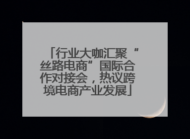 行业大咖汇聚“丝路电商”国际合作对接会，热议跨境电商产业发展
