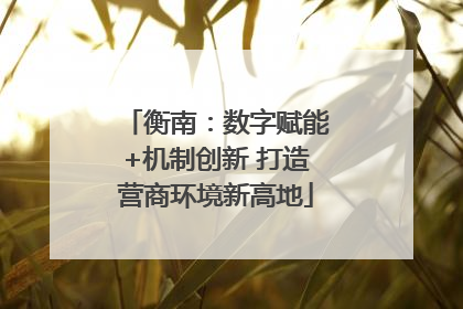 衡南：数字赋能+机制创新 打造营商环境新高地