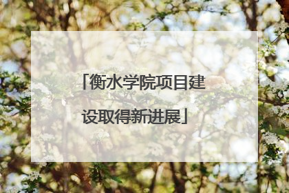 衡水学院项目建设取得新进展