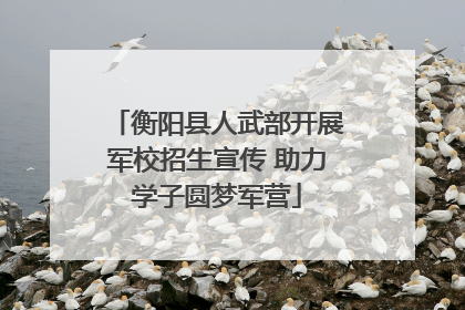 衡阳县人武部开展军校招生宣传 助力学子圆梦军营