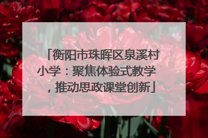 衡阳市珠晖区泉溪村小学：聚焦体验式教学，推动思政课堂创新
