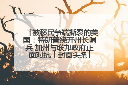 被移民争端撕裂的美国：特朗普绕开州长调兵 加州与联邦政府正面对抗丨封面头条