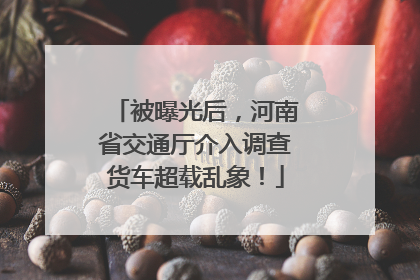 被曝光后，河南省交通厅介入调查货车超载乱象！